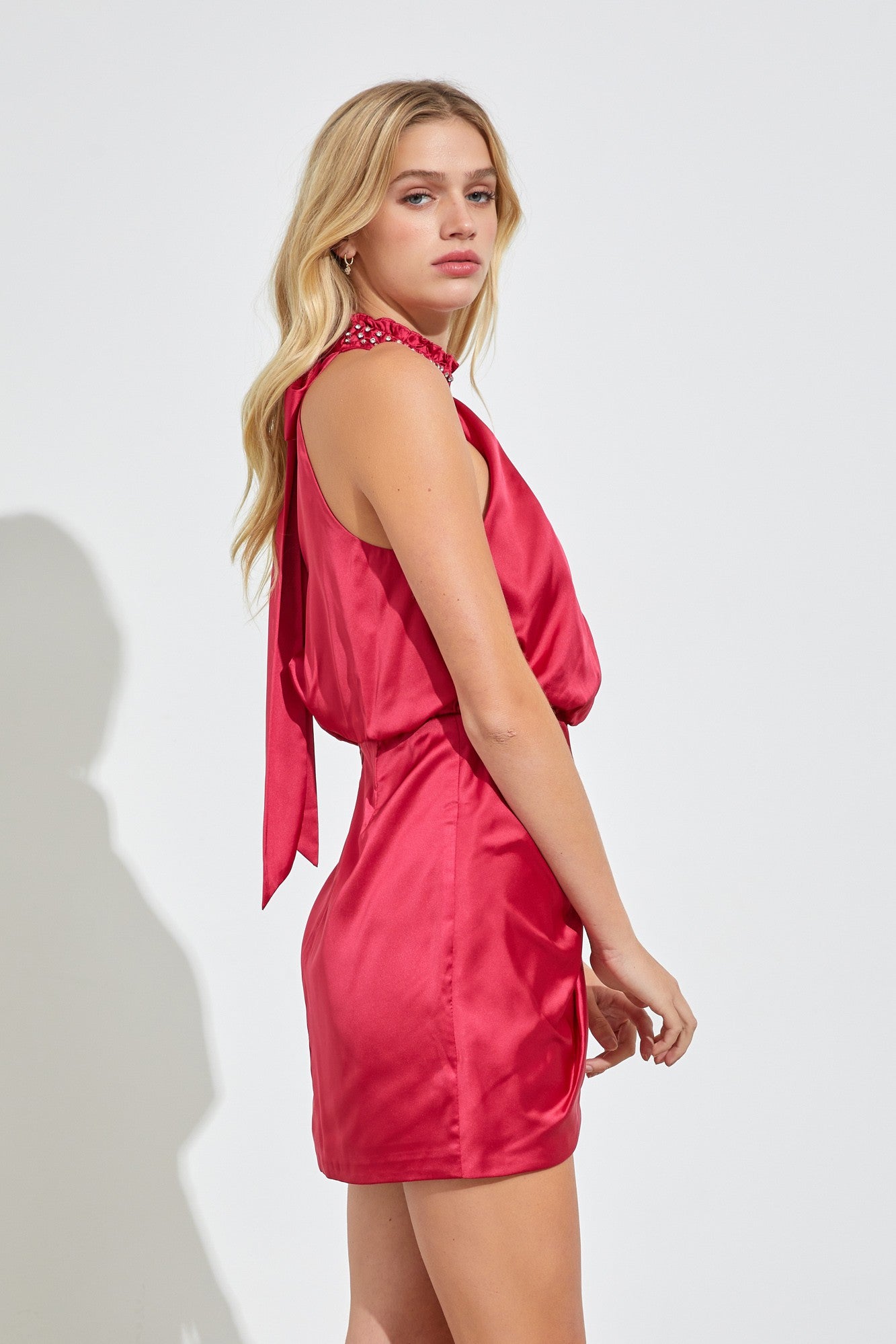 Crimsonvale Mock Neck Dress